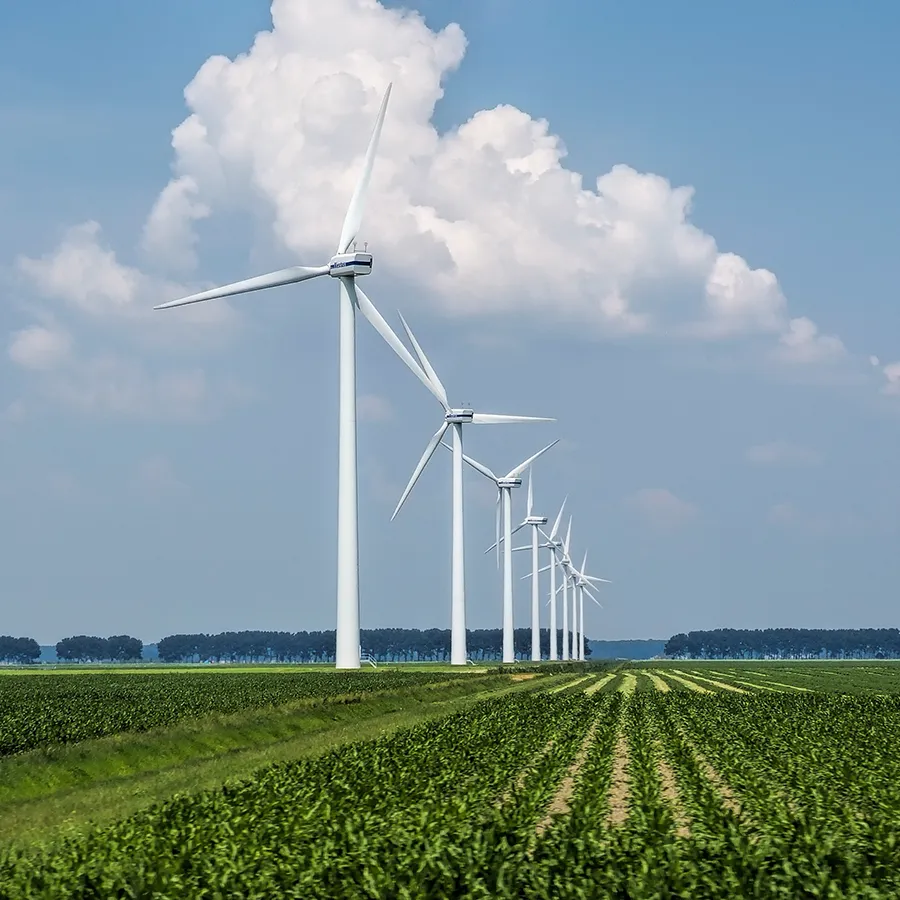 Windkraftanlagen über Feldern bei Sonnenaufgang